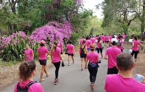 5be965648098d_Odyssea20182.jpg