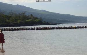 5e4bb099f3ac0_triathlonduathlonvertlagon20201b.jpg