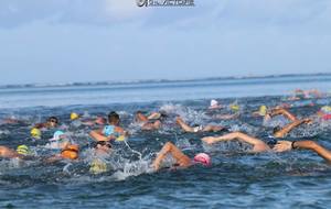 5e4bb09c624cf_triathlonduathlonvertlagon20205.jpg