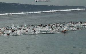 5e4bb09ce055f_triathlonduathlonvertlagon20204.jpg
